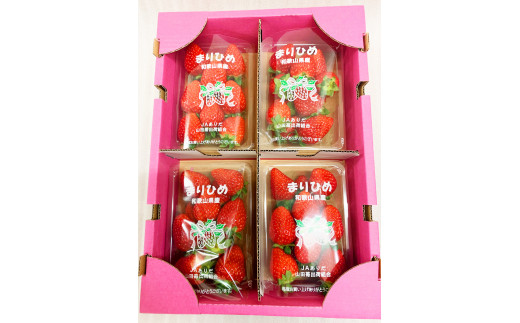 【来シーズン先行予約】紀州和歌山ブランドいちご「まりひめ」約２５０ｇ×４Ｐ※2026年1月上旬頃～2026年3月上旬頃順次発送【uot758A】