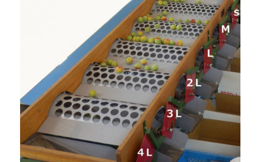 【梅干・梅酒用】（4Lまたは3L－2Kg）熟南高梅＜2026年6月上旬～7月上旬ごろに順次発送予定＞【art006B】