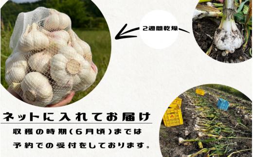 秘境の地からお届けする あゆみファームの乾燥にんにく 2kg【2025年6月中旬以降順次発送】/ にんにく ニンニク 訳あり 予約受付 ガーリック 和歌山【aym008】