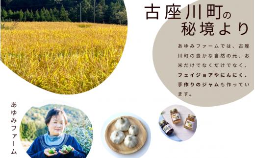 秘境の地からお届けする あゆみファームのお米 にこまる 10kg【2025年10月下旬以降順次発送】/ 米 お米 にこまる 10kg 精米 和歌山【aym014】