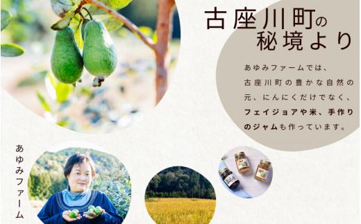 令和７年度産 秘境の地からお届けする あゆみファームのご家庭用ジャンボにんにく 3kg【7月下旬から順次発送】/ にんにく ニンニク ジャンボにんにく 予約受付 ガーリック 和歌山【aym015】