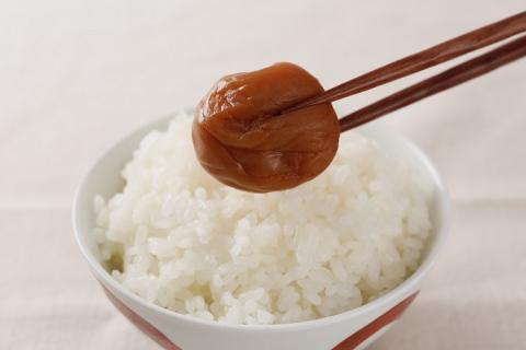 紀州南高梅 梅干し４種類セット計800g（200g×4箱）[中玉]２Ｌサイズ うめぼし 和歌山産 (化粧箱入)/紀伊国屋文左衛門本舗【kztb287A】
