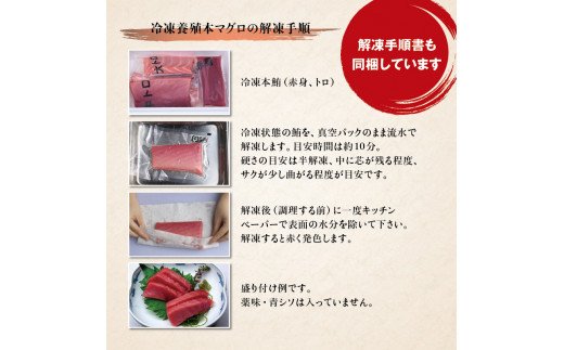 本マグロ（養殖）トロ＆赤身セット 500g 【12月25日～30日に発送】高級 クロマグロ トロ まぐろ マグロ 鮪 刺身 赤身 柵 年内配送 年内発送 お正月 正月【nks110D-sg】