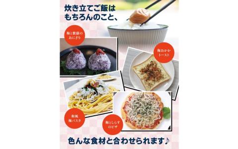 紀州南高梅　うす塩【ハチミツ無】 塩分10%（750g）なかやまさんちの梅干 うめ ウメ 梅干し【nky002-175k】