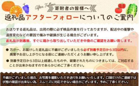 [濃厚・春みかん]有田産ポンカン約5kg(サイズおまかせ) ※2024年2月上旬～下旬頃発送予定（お届け日指定不可）【tec932】
