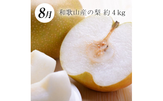 【3か月定期便】和歌山産フルーツ定期便！人気の桃・梨・ピオーネ　旬のフルーツを毎月お届け♪【tkb114】