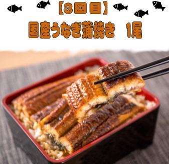 【全4回】魚鶴一押し！人気のお魚集合定期便（さば・銀鮭・うなぎ・海鮮丼）【tkb308】