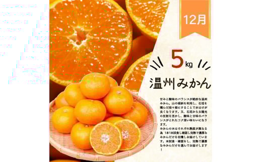 【全3回】紀州和歌山産旬のフルーツセット(巨峰・ひらたね・みかん)  / 果物定期便 フルーツ定期便 みかん オレンジ 柑橘 くだもの 果物 かき カキ ぶどう 巨峰 【tkb397】