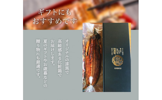 【春土用の丑の日】国産 大型サイズ ふっくら柔らか 国産うなぎ蒲焼き 1尾 約2人前 化粧箱入 先行予約 国産 うなぎ ウナギ 鰻 蒲焼 土用の丑の日 丑の日 【uot714A-dy】 