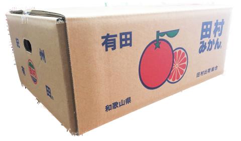 【ご家庭用訳あり】田村みかん　5kg ※2024年11月下旬頃～2025年1月下旬頃発送(お届け日指定不可)【uot754A】