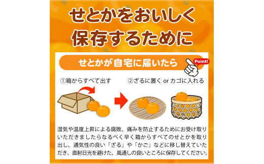 とろける食感 ジューシー柑橘 せとか 約2.5kg みかん 蜜柑 柑橘 オレンジ 果物 フルーツ 国産 和歌山県広川町 ※2027年1月下旬頃～2027年2月上旬頃に順次発送予定【uot789A】