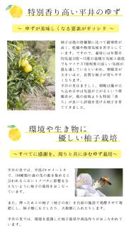 古座川町の ゆずマーマレード 100g ゆず 柚子 柚 ユズ ジャム 無添加【yuz115】