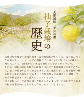 古座川町の しそジュース 300ml 3本 しそ シソ 紫蘇 ドリンク 和歌山【yuz137A】