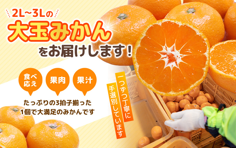 ＼ みかんの名産地 和歌山県産／ 農家直送 大玉 有田みかん 5kg （2L～3L） ひとつひとつ手選別で厳選【2025年11月下旬～1月中旬ごろに順次発送予定】 | みかん フルーツ 果物 くだもの 有田みかん 蜜柑 柑橘【hdm001-1A】