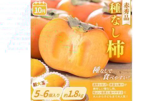 【定期便4回】フルーツ王国かつらぎ町よりお届け！旬のフルーツ定期便【kgr025】