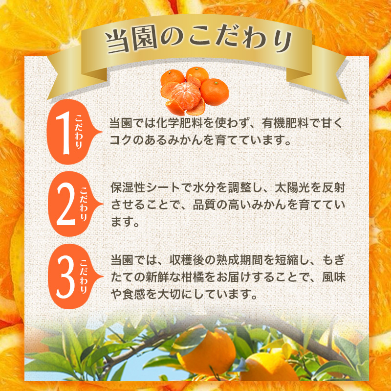 【訳あり】農家直送 有田みかん 約5kg ご家庭用 サイズ混合 ※2025年11月中旬より順次発送予定（お届け日指定不可）※北海道・沖縄・離島への配送不可 訳ありみかん みかん ミカン 蜜柑 柑橘 フルーツ 果物 くだもの 温州みかんサイズ混合 訳ありみかん 温州みかん 有機質肥料100% ふるさと納税 柑橘 有田 産地直送【nuk161D】