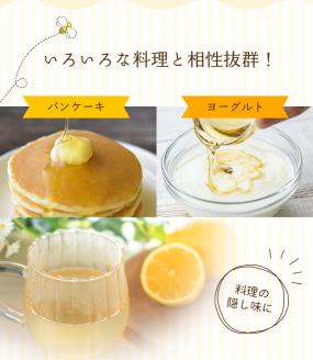 【数量限定】希少ハチミツ 南紀熊野蜜 400g（200g×2個） 古座川流域で採取した日本みつばちのはちみつ 南紀熊野蜜B / はちみつ はちみつ はちみつ はちみつ はちみつ はちみつ はちみつ はちみつ はちみつ はちみつ はちみつ はちみつ はちみつ はちみつ【tkd201】