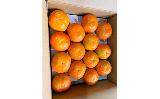 和歌山秋の味覚　富有柿　約7.5kg　【uot702A】