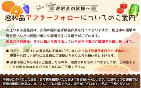 【ご家庭用訳あり】田村みかん　5kg ※2024年11月下旬頃～2025年1月下旬頃発送(お届け日指定不可)【uot754A】