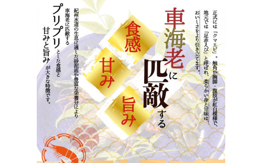 紀州和歌山産天然足赤えび540g×2箱（270g×4パック）化粧箱入 ※2026年12月上旬〜2027年2月上旬頃順次発送予定（お届け日指定不可）（お届け日指定不可）／海老 エビ えび クマエビ 足赤 天然 おかず【uot773A】