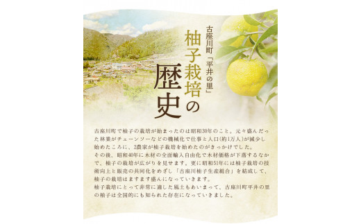 古座川町のゆずドリンク（はちみつ入り） はちみつ柚香ちゃん 160ml（10本入） ゆず 柚子 柚 ユズ ジュース ドリンク はちみつ【yuz109B】