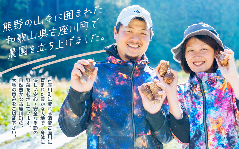 古座川町の恵みが育んだ ご縁座の乾燥にんにく 500g / にんにく 乾燥にんにく ガーリック【gnz107】