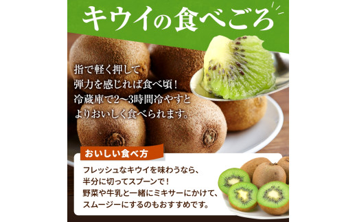 【先行予約】 先行予約！和歌山県産 秀品 キウイフルーツ 大玉15個入 こだわり農家厳選  【2026年12月中旬～2027年1月中旬頃順次発送】/ キウイ キウイフルーツ 果物 フルーツ おやつ【kgr021】