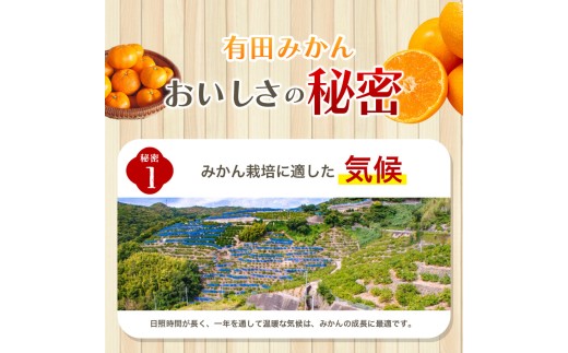 【2026年11月発送】＼光センサー選別／農家直送 こだわりの有田みかん 約6kg＋150g(傷み補償分) 【ご家庭用】 みかん ミカン 有田みかん 温州みかん 柑橘 有田 和歌山 ※北海道・沖縄・離島配送不可/みかん ミカン 有田みかん 温州みかん 柑橘 有田 和歌山 産地直送【nuk102-11B】