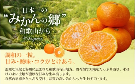 【農家直送】有田みかん 約10kg 大玉3L以上 有機質肥料100% ※2026年11月～12月に順次発送予定(お届け日指定不可) /みかん ミカン 温州みかん 柑橘 有田 和歌山 産地直送【nuk139F】