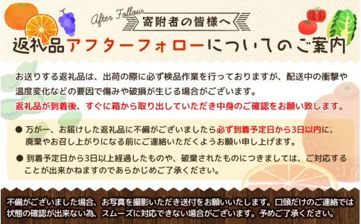 希少な柑橘!紀州有田産ブラッドオレンジ約3kg 【ご家庭用】※2026年3月上旬頃～3月中旬頃に順次発送 (お届け日指定不可) 【uot771】