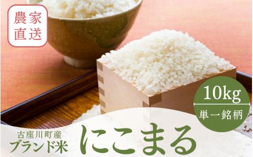 秘境の地からお届けする あゆみファームのお米 にこまる 10kg【2025年10月下旬以降順次発送】/ 米 お米 にこまる 10kg 精米 和歌山【aym014】