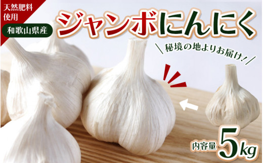 令和７年度産 秘境の地からお届けする あゆみファームのご家庭用ジャンボにんにく 5kg【7月下旬から順次発送】/ にんにく ニンニク ジャンボにんにく 予約受付 ガーリック 和歌山【aym017】