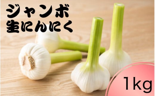 令和７年度産 秘境の地からお届けする あゆみファームのご家庭用新ジャンボ生にんにく １kg【6月中旬～７月上旬から順次発送】/ にんにく ニンニク ジャンボにんにく 予約受付 ガーリック 和歌山【aym018】