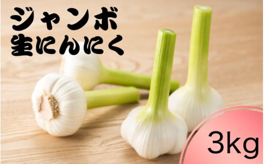 令和７年度産 秘境の地からお届けする あゆみファームのご家庭用新ジャンボ生にんにく 3kg【6月中旬～７月上旬から順次発送】/ にんにく ニンニク ジャンボにんにく 予約受付 ガーリック 和歌山【aym020】