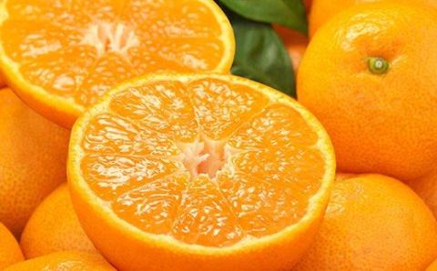 【予約受付】田村みかん　秀品5キロ/サイズおまかせ◆2026年11月下旬～2027年1月中旬頃に順次発送予定(お届け日指定不可)　紀伊国屋文左衛門本舗【kztb301B】