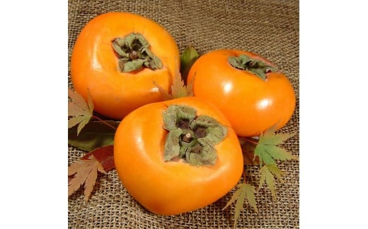 和歌山の 種なし 柿 約7.5kg【秀品：サイズ・品種おまかせ】和歌山県産/紀伊国屋文左衛門本舗　※2026年9月下旬～2026年11月下旬頃に順次発送予定(お届け日指定不可)【kztb801B】