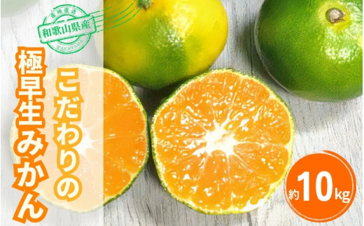 【2026年秋頃発送予約分】＼光センサー選別／【農家直送】こだわりの極早生みかん 約10kg 【数量限定】 有機質肥料100% サイズ混合 ※2026年10月～11月に順次発送予定（お届け日指定不可）【nuk135E】