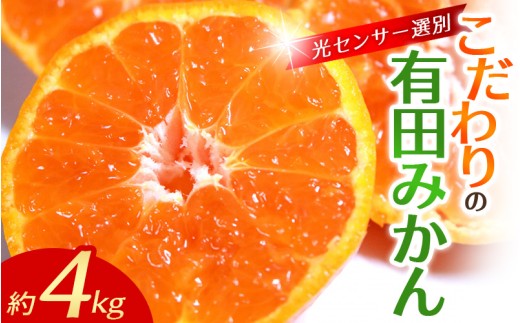 【2026年10月発送予約分】＼光センサー選別／農家直送 こだわりの有田みかん 約4kg+150g（傷み補償分） 【ご家庭用】【10月発送】みかん ミカン 有田みかん 温州みかん 柑橘 有田 和歌山 ※北海道・沖縄・離島配送不可/みかん ミカン 有田みかん 温州みかん 柑橘 有田 和歌山 産地直送【nuk148-10】