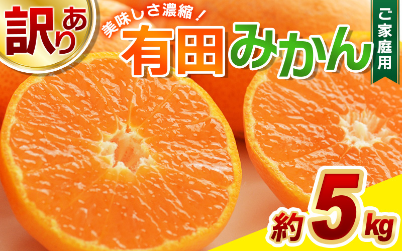 【訳あり】農家直送 有田みかん 約5kg ご家庭用 サイズ混合 ※2025年11月中旬より順次発送予定（お届け日指定不可）※北海道・沖縄・離島への配送不可 訳ありみかん みかん ミカン 蜜柑 柑橘 フルーツ 果物 くだもの 温州みかんサイズ混合 訳ありみかん 温州みかん 有機質肥料100% ふるさと納税 柑橘 有田 産地直送【nuk161D】