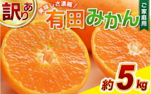 【訳あり みかん 5kg】 訳あり 有田みかん 約5kg サイズ混合 / フルーツ 果物 くだもの 柑橘 みかん ミカン オレンジ 温州ミカン みかん 名産地 甘い みかん ご家庭用 訳ありみかん 蜜柑 有機質肥料100% 有田 産地直送 ※2026年11月～2027年1月に順次発送予定（お届け日指定不可）※北海道・沖縄・離島への配送不可【nuk161E】 
