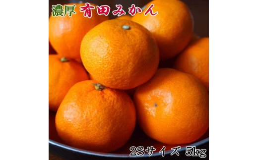 【秀品】 和歌山 有田みかん 5kg（2Sサイズ）※北海道・沖縄・離島への配送不可 ※2025年11月中旬～2026年1月中旬頃に順次発送予定（お届け日指定不可）【tec886A】