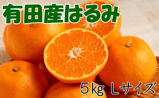 【厳選・濃厚】紀州有田産のはるみ 5kg (Lサイズ)※2026年1月下旬～2026年2月中旬頃順次発送(お届け日指定不可)【tec914B】