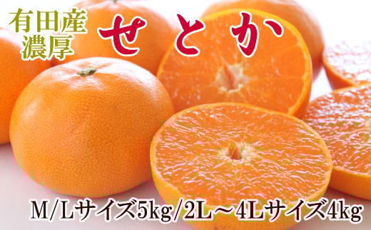  一度は食べていただきたい「有田産のせとか」約4～5kg（サイズおまかせ）※2026年2月中旬～2026年3月上旬頃に順次発送【tecj1024】 