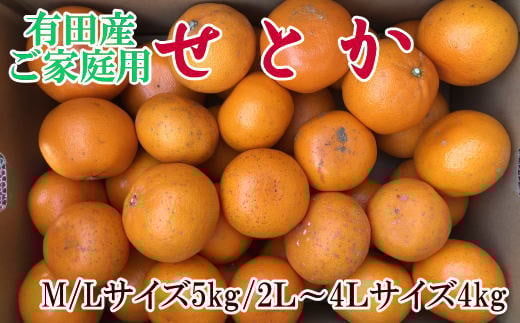  (訳あり・ご家庭用)一度は食べていただきたい「有田産のせとか」約4kg～5kg　※2026年2月中旬～2026年3月上旬頃に順次発送【tecj1032】 