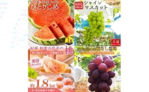 【全4回】紀州和歌山産旬のフルーツ定期便 (スイカ・桃・巨峰・シャインマスカット) / すいか スイカ もも 桃 白桃 巨峰 マスカット シャインマスカット 葡萄 ぶどう 果物 くだもの フルーツ フルーツ定期便 和歌山【tkb421】 