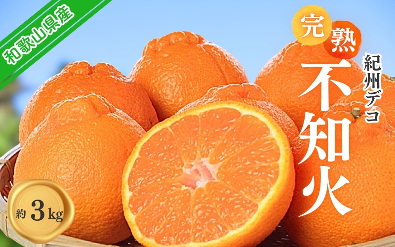 果肉プリプリ♪　完熟紀州デコ(不知火) 約3kg ＜2026年2月下旬頃～2026年3月中旬頃発送＞ / 不知火 しらぬい デコポン みかん 柑橘 フルーツ 果物 和歌山県産 古座川町【uot706A】
