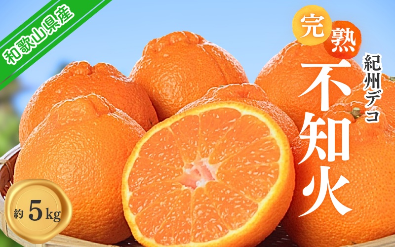 果肉プリプリ♪　完熟紀州デコ(不知火) 約5kg デコポンと同品種 ＜2026年2月下旬頃～2026年3月中旬頃発送＞（お届け日指定不可）/ 不知火 しらぬい デコポン みかん 柑橘 フルーツ 果物 和歌山県産 古座川町【uot707A】