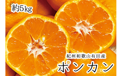 紀州和歌山有田産ポンカン　5㎏	※2026年2月上旬頃～2026年2月下旬頃に順次発送（お届け日指定不可）【uot722】