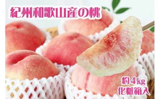 紀州和歌山産の桃　約4kg　化粧箱入 ※2026年6月下旬頃〜2026年8月上旬頃順次発送（お届け日指定不可）【uot723A】