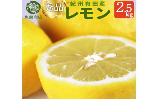 秀品　紀州有田産レモン　2.5kg【予約】※2026年3月上旬頃～2026年3月中旬頃に順次発送予定(お届け日指定不可) レモン れもん 果物 柑橘【uot776】